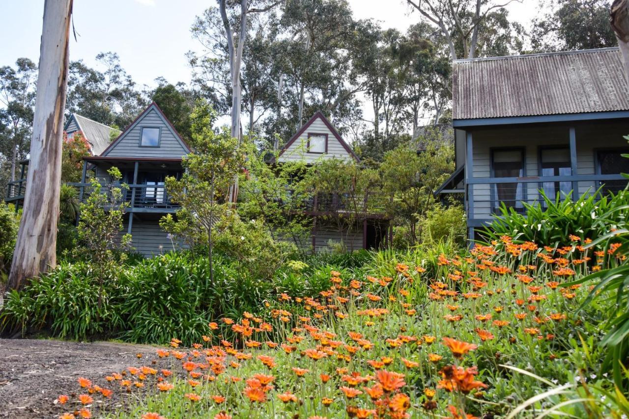 Great Ocean Road Cottages Lorne Exterior photo